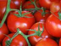 цена помидоров в Черногории