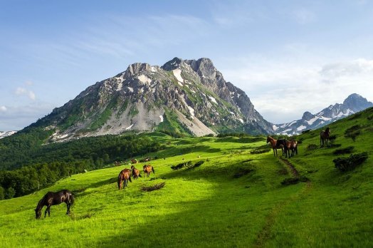 Прогулка на лошадях в Черногории