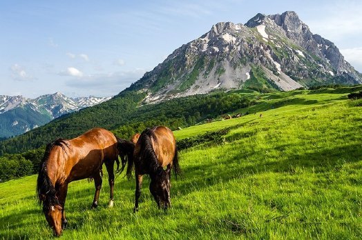 Прогулка на лошадях в Черногории