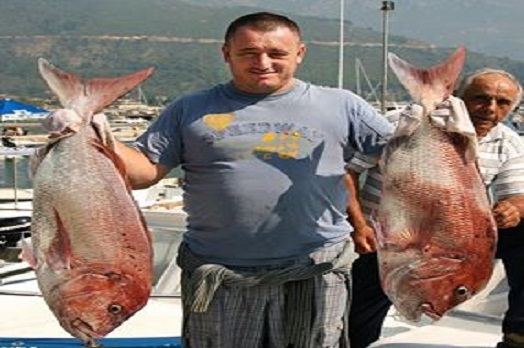 Рыбалка в Черногории на море