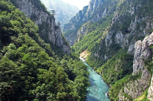 Каньон реки Тара Черногория